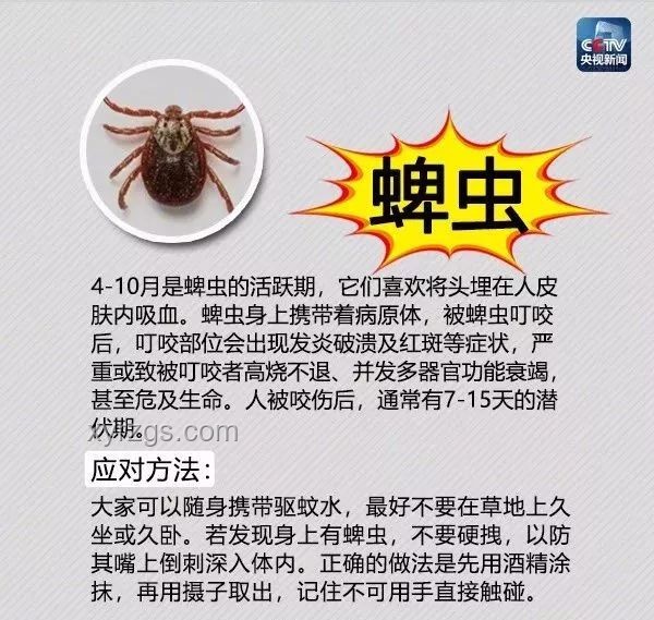 虫患新解：智能预警系统，重塑防虫新生态